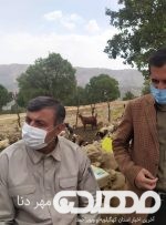جاده و آب شرب عمده ی معضلات عشایر کهگیلویه و بویراحمد/ آبرسانی به بیش از ۱۰۰ خانوار  عشایری