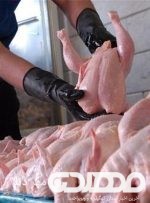 مدیرکل تعزیرات حکومتی استان از محکومیت ۷۴۵ میلیونی و الزام به عرضه کالا در شبکه رسمی یک کشتارگاه مرغ خبر داد