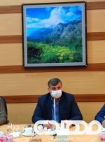 ایجاد اشتغال روستایی راهکار مقابله با قاچاق چوب/ حفاظت پایدار از جنگل های استان نیازمند مشارکت مردم است/ ضرورت آسیب شناسی تجاوز به منابع ملی