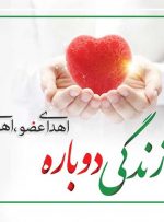 پیام تقدیر و تشکر امام جمعه چرام از گذشت و ایثار خانواده جمالی