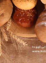 چالش‌های پیش‌روی یکی از بزرگترین واحد‌های صنعتی کهگیلویه و بویراحمد+فیلم و تصاویر