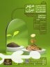 نخستین جشنواره ملی فرهنگی هنری قرض الحسنه مهر ایران برگزار می شود