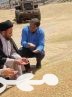 دولت پرداخت مطالبات گندمکاران را در اولویت قرار دهد
