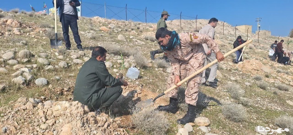 غرس نهال در مراتع بردیان از توابع شهرستان چرام