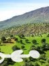 اظهارات عجیب یک مسئول/ زاگرس نابود می‌شود