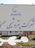 معمای توسعه در ممسنی؛ از رؤیای پتروشیمی تا واقعیت فرصت‌های از دست رفته!